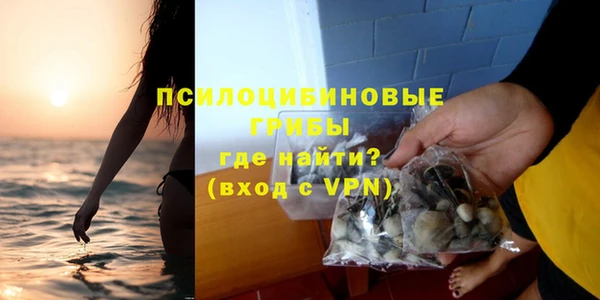 крисы Новодвинск