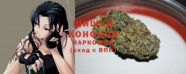 винт Нягань