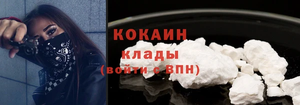 крисы Новодвинск