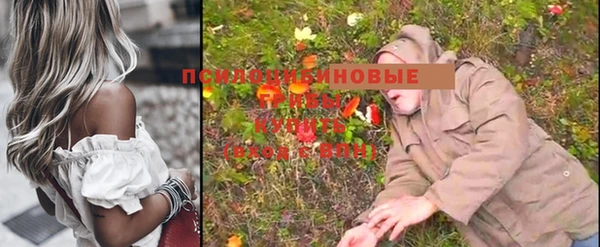 крисы Новодвинск