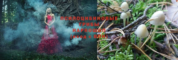 крисы Новодвинск