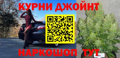 ECSTASY Гатчина
