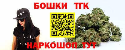ECSTASY Гатчина