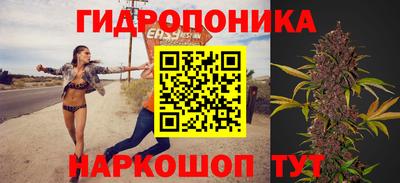 ECSTASY Гатчина