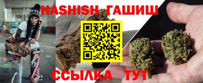 ECSTASY Гатчина