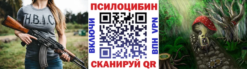 купить  цена  Карпинск  Псилоцибиновые грибы MAGIC MUSHROOMS 