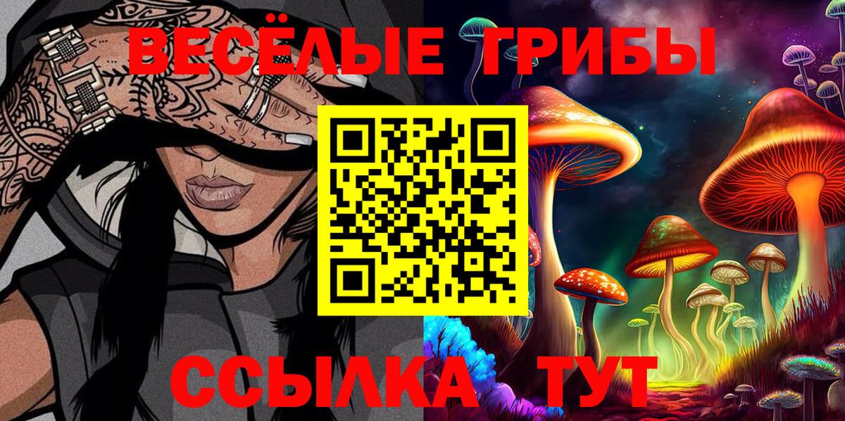 Галлюциногенные грибы Psilocybe  Вход с VPN  Карпинск 